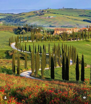 Agriturismo Baccoleno Asciano